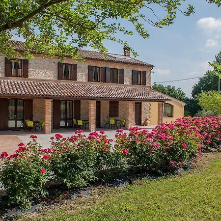 Agriturismo La Vecchia Fonte Castelbellino Экстерьер фото