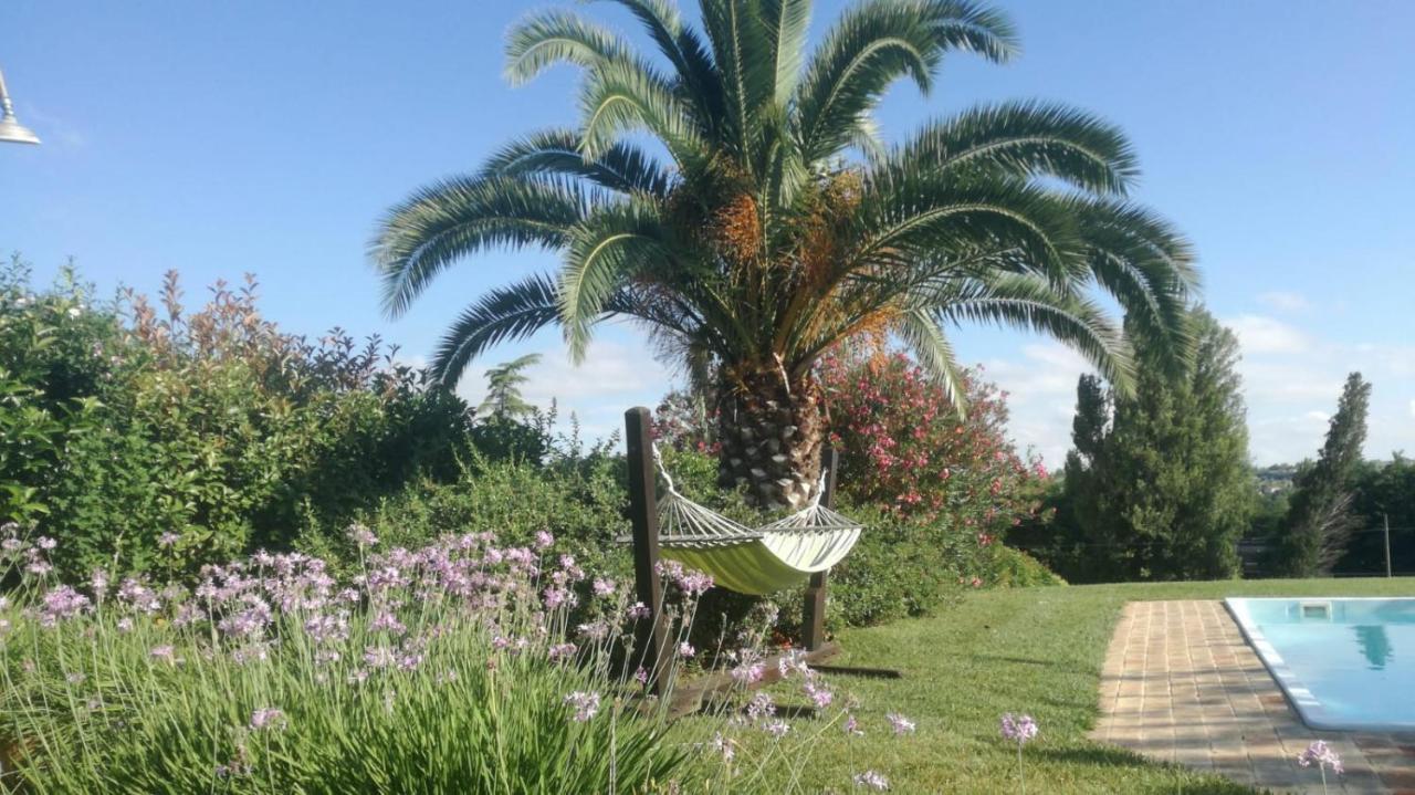 Agriturismo La Vecchia Fonte Castelbellino Экстерьер фото