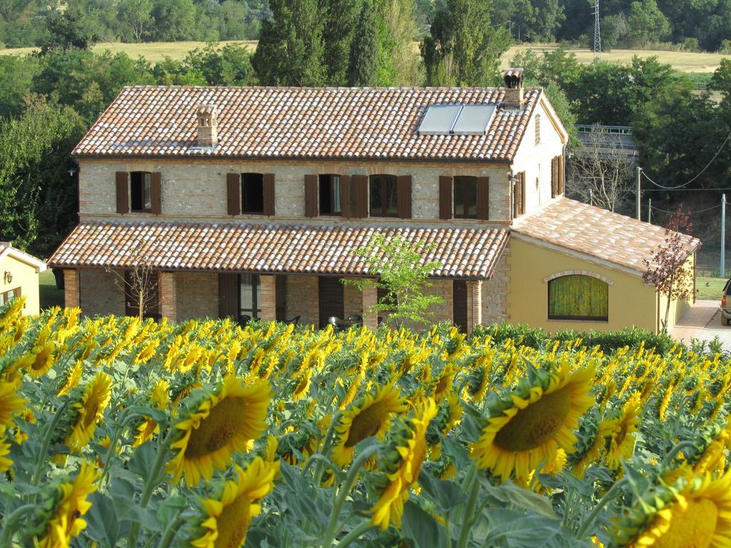 Гостевой дом Agriturismo La Vecchia Fonte Castelbellino Экстерьер фото